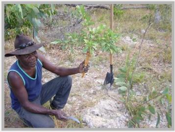 Kuuku I'yu Northern Kaanju Traditional Custodian and project leader David Claudie