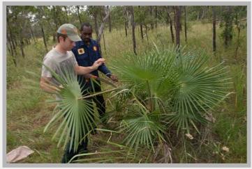 Scientist Brad Simpson and Ranger Farron Port collecting plants, Photo: Nick Smith