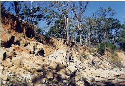 Erosion of riverbank - upper Wenlock River